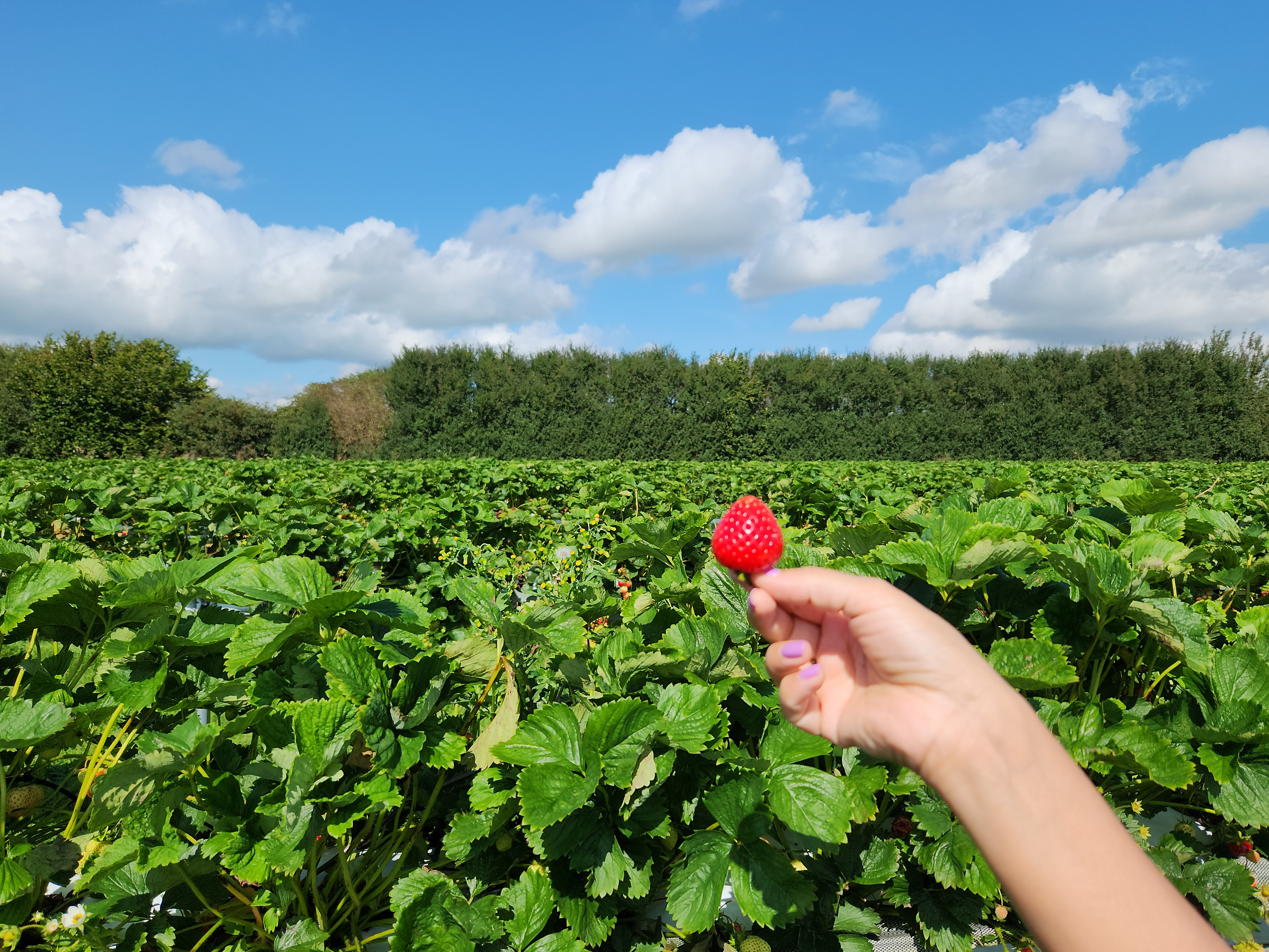 20230902 131201 copy