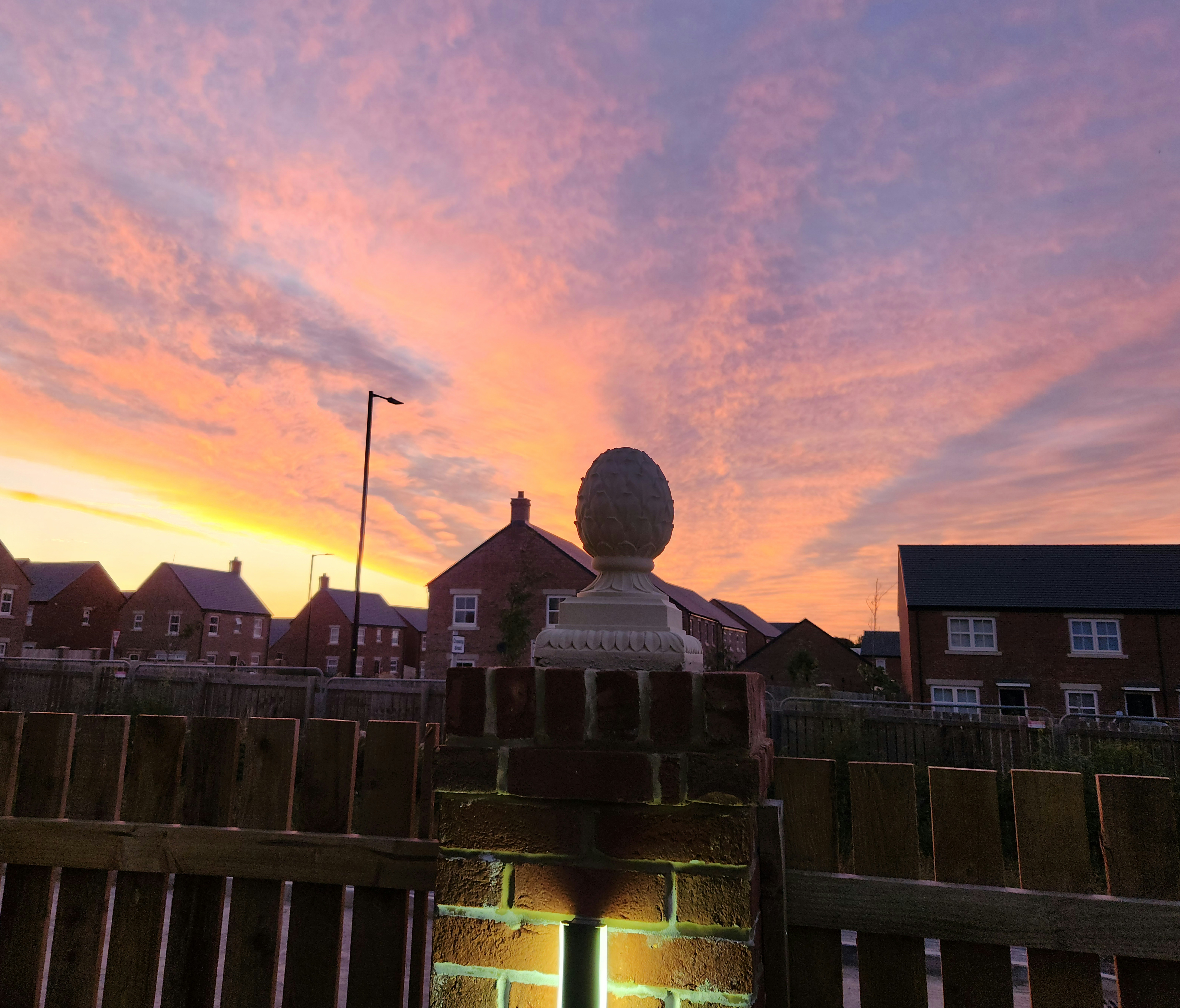 Artichoke Silhouette In Night Coloured Sky